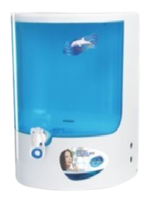 Dolphin Model