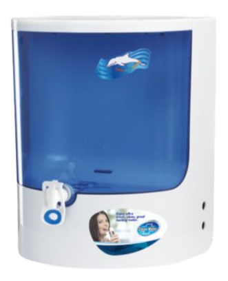 Dolphin Model